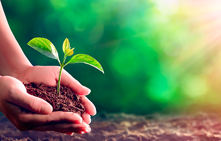 J9���λ�-������Ϸ��һƷ��