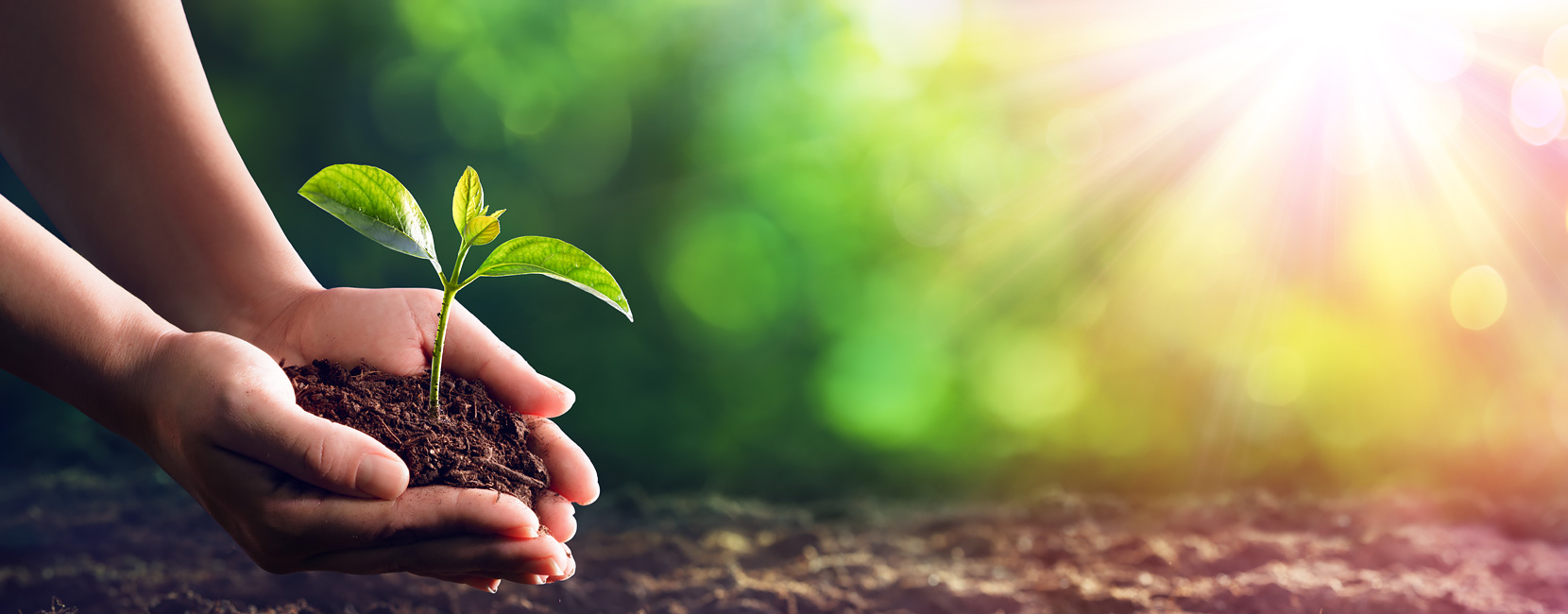 J9���λ�-������Ϸ��һƷ��