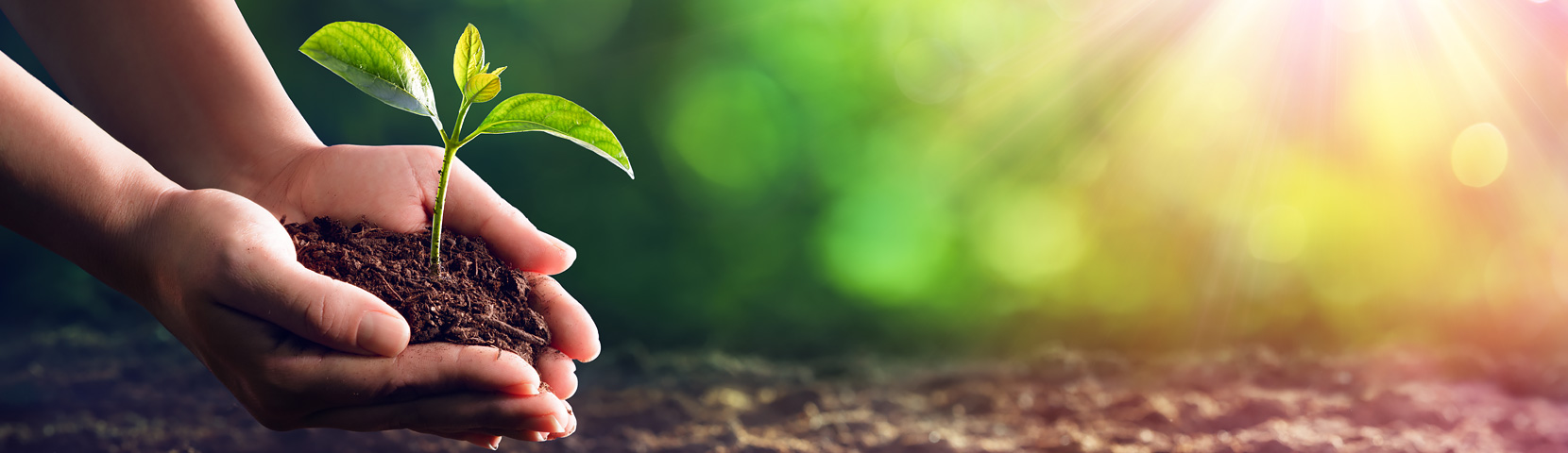 J9���λ�-������Ϸ��һƷ��